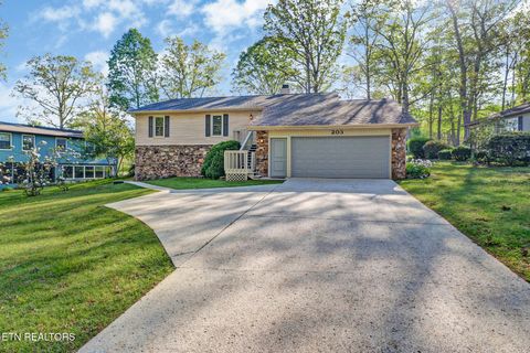 Photo of 203 Snead Drive, Crossville, TN 38558 (MLS # 1337641)