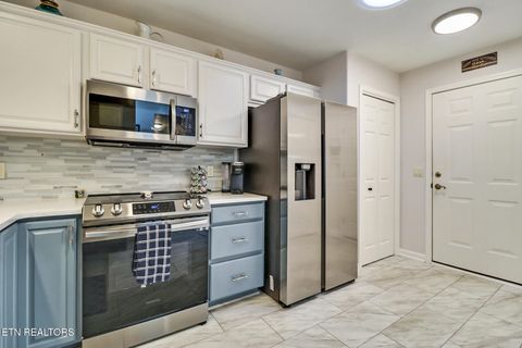 Tiny photo for 313 Lake Catherine Circle, Fairfield Glade, TN 38558 (MLS # 1339514)