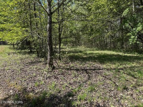 Tiny photo for 0 White Pine Rd Off Rd, Harriman, TN 37748 (MLS # 1335287)