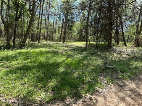 Tiny photo for 0 White Pine Rd Off Rd, Harriman, TN 37748 (MLS # 1335287)