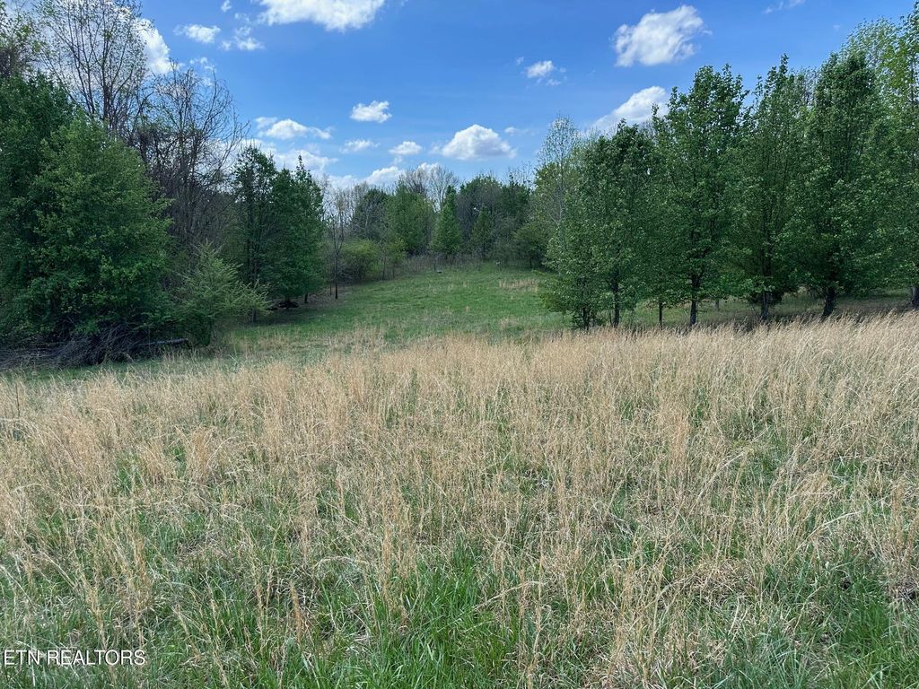 Photo of 0 White Pine Rd Off Rd, Harriman, TN 37748 (MLS # 1335287)