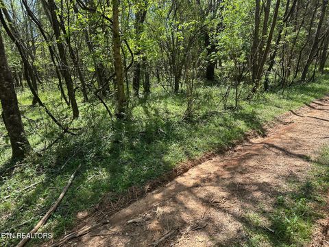 Tiny photo for 0 White Pine Rd Off Rd, Harriman, TN 37748 (MLS # 1335287)