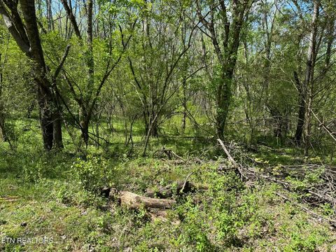 Tiny photo for 0 White Pine Rd Off Rd, Harriman, TN 37748 (MLS # 1335287)