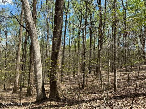 Tiny photo for 0 White Pine Rd Off Rd, Harriman, TN 37748 (MLS # 1335287)