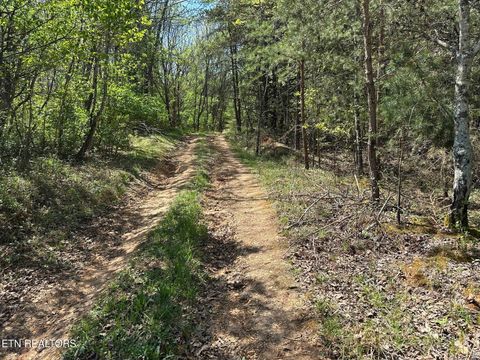 Tiny photo for 0 White Pine Rd Off Rd, Harriman, TN 37748 (MLS # 1335287)