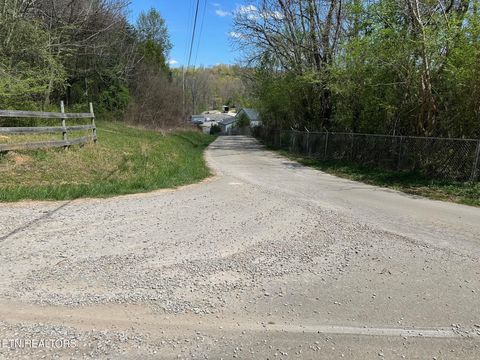 Tiny photo for 0 White Pine Rd Off Rd, Harriman, TN 37748 (MLS # 1335287)