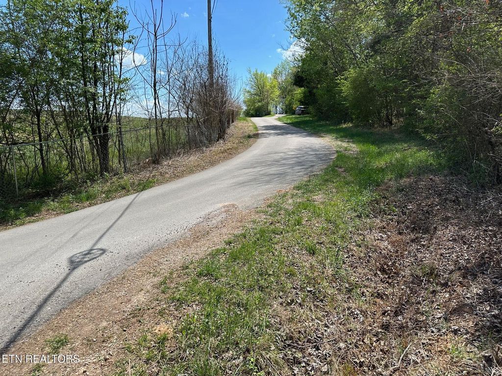 Photo of 0 White Pine Rd Off Rd, Harriman, TN 37748 (MLS # 1335287)