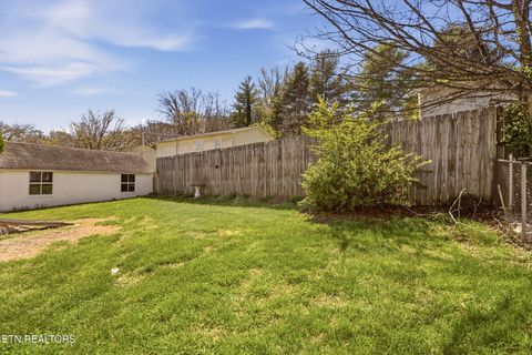 Tiny photo for 906 Riverview Drive, LaFollette, TN 37766 (MLS # 1334181)