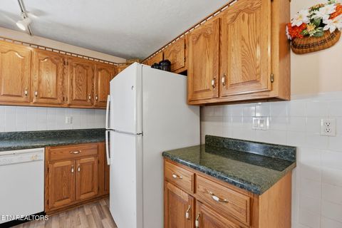 Tiny photo for 906 Riverview Drive, LaFollette, TN 37766 (MLS # 1334181)