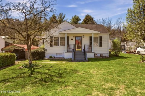 Photo of 906 Riverview Drive, LaFollette, TN 37766 (MLS # 1334181)
