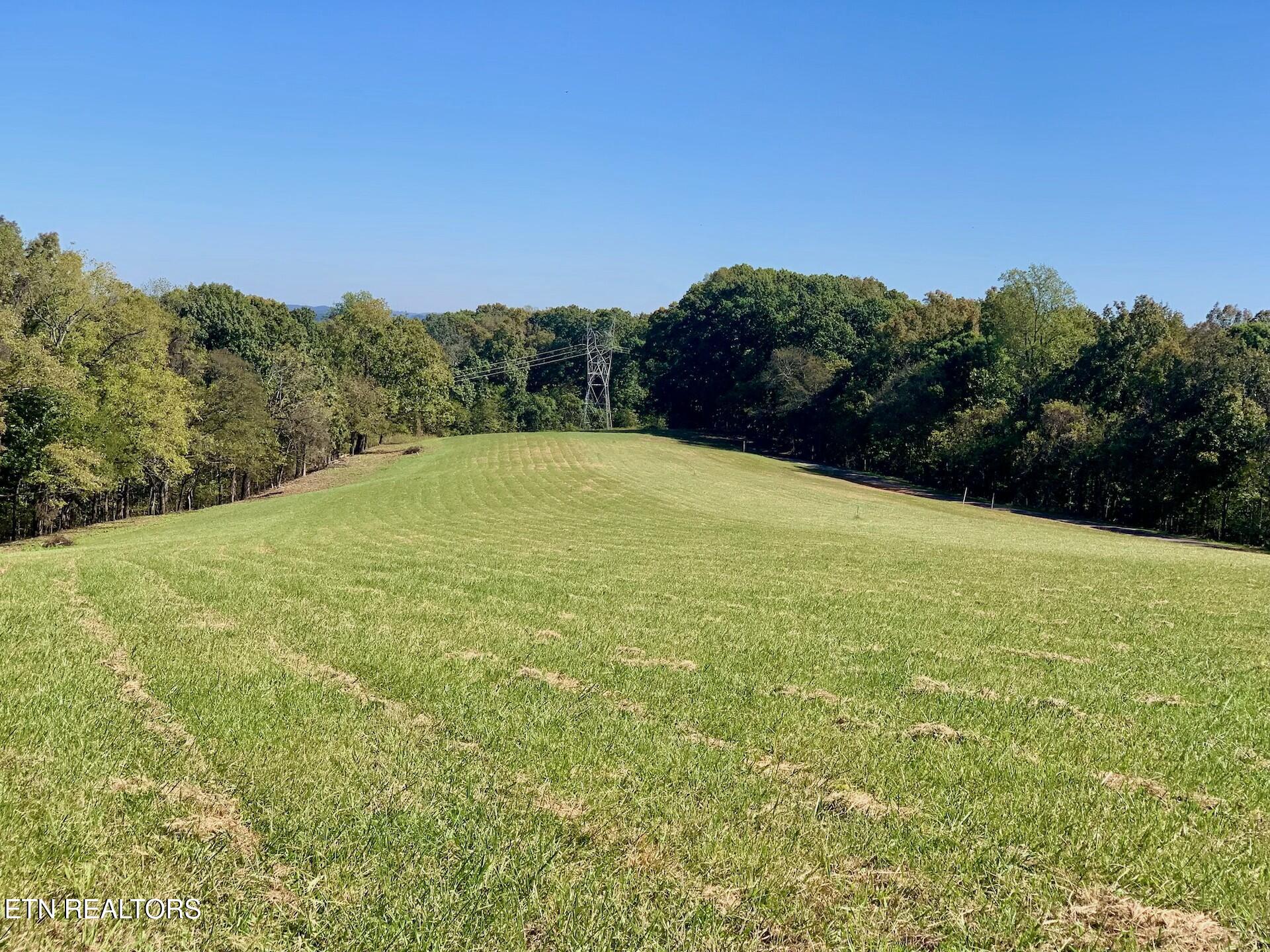 Somerset Estates | Homesite 3