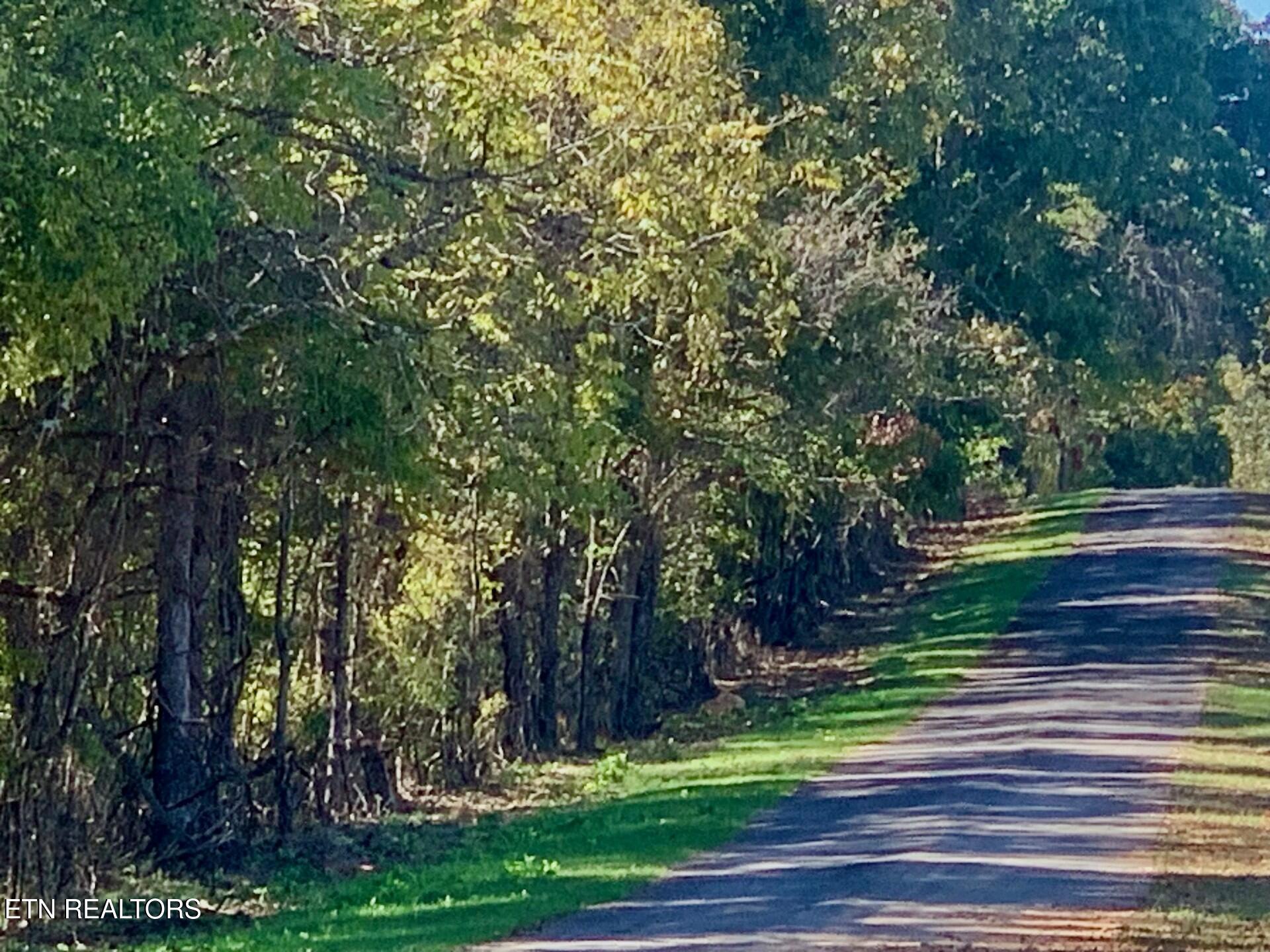 Somerset Estates | Homesite 3