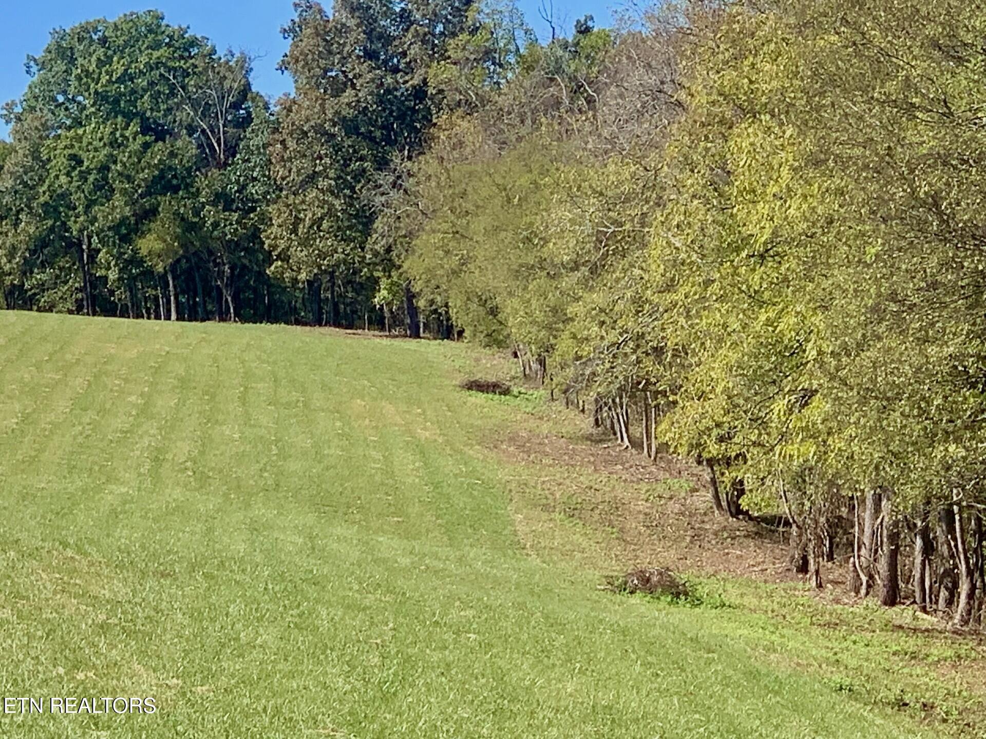 Somerset Estates | Homesite 3