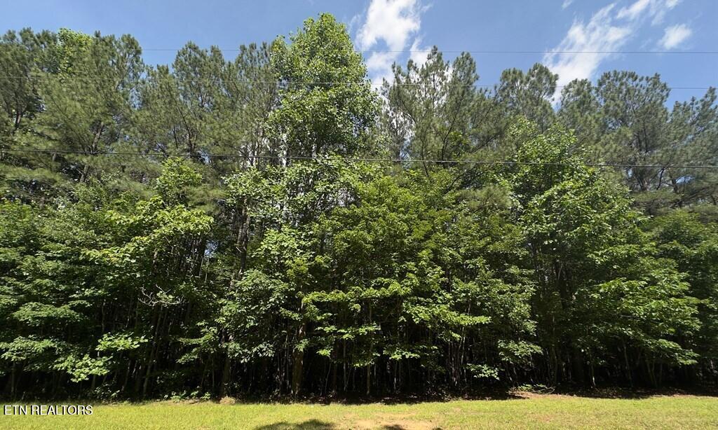 0 Hickory Nut Tr