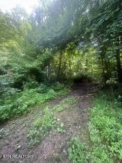 AILOR DR, MAYNARDVILLE, TN 37807 - Image 5a86ec610d4b9938e9ebbf080d21220e/408036666