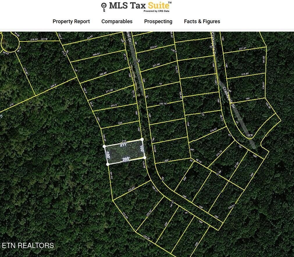 Mountain Laurel Drive