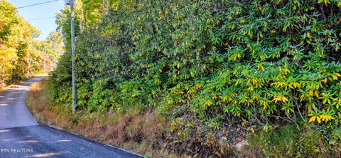 Tiny photo for 13 Overholt Tr, Sevierville, TN 37862 (MLS # 1359557)