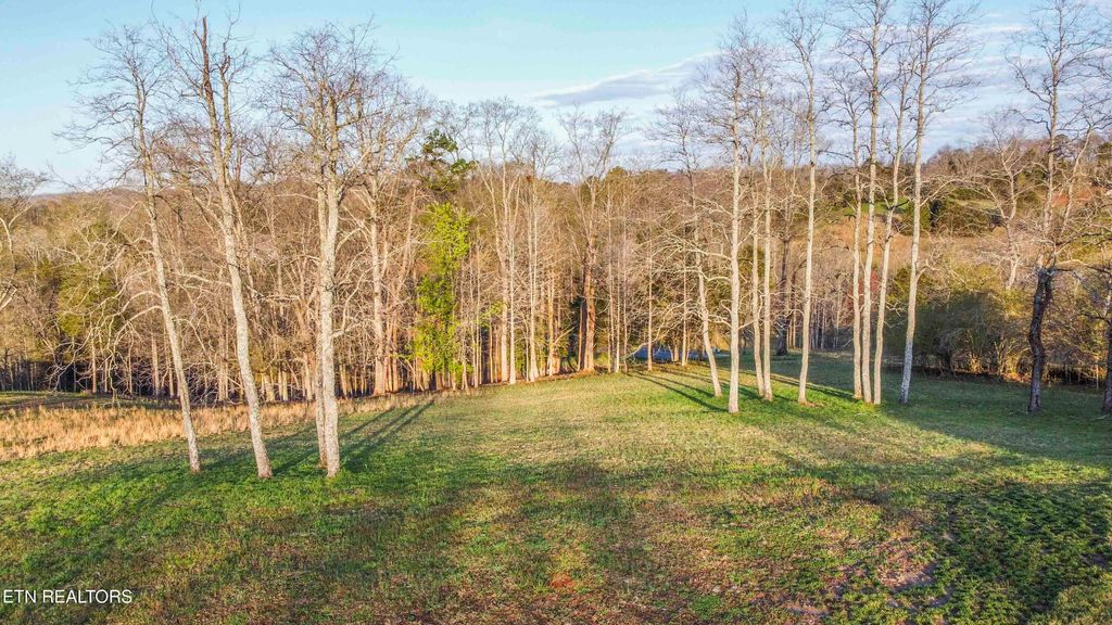 Photo of 277 Serenity Drive, Harriman, TN 37748 (MLS # 1294973)
