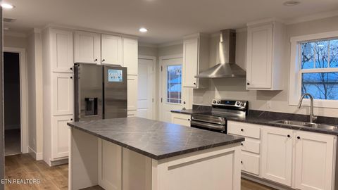 Tiny photo for 645 Virginia St, Newport, TN 37821 (MLS # 1325096)