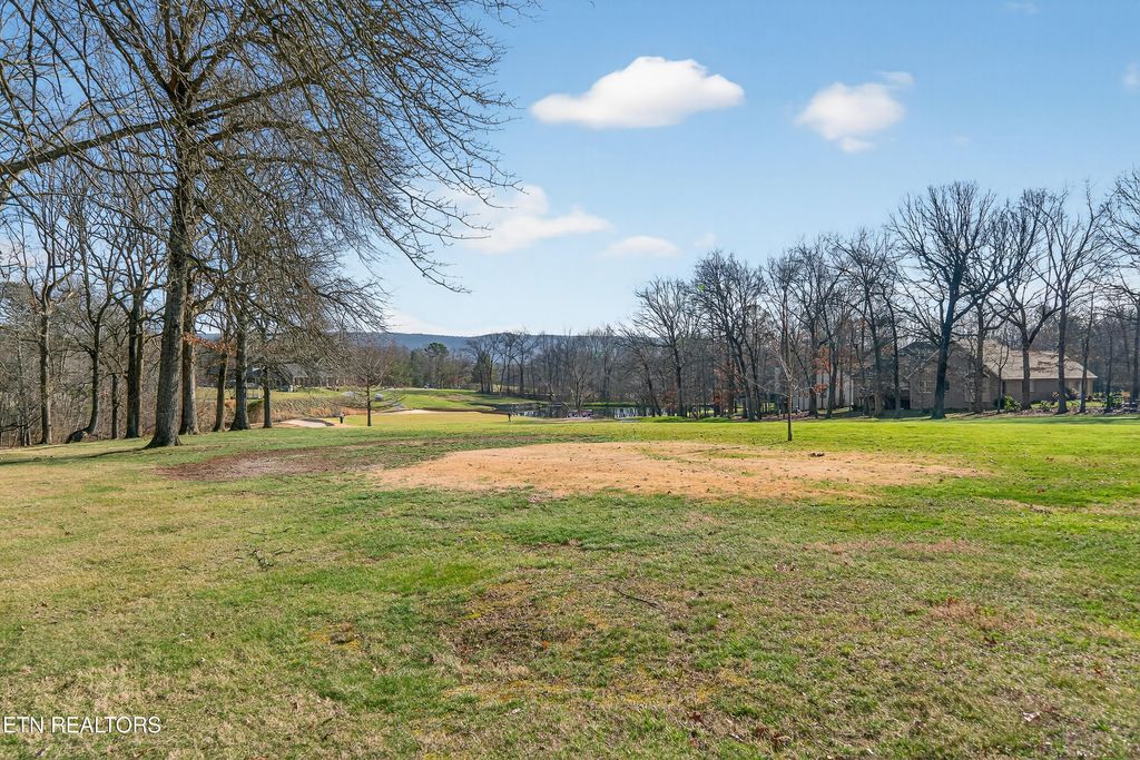 Photo of 214 Dorchester Court, Crossville, TN 38558 (MLS # 1328703)