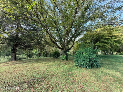Tiny photo for 569 Carr Wynn Rd, LaFollette, TN 37766 (MLS # 1355837)