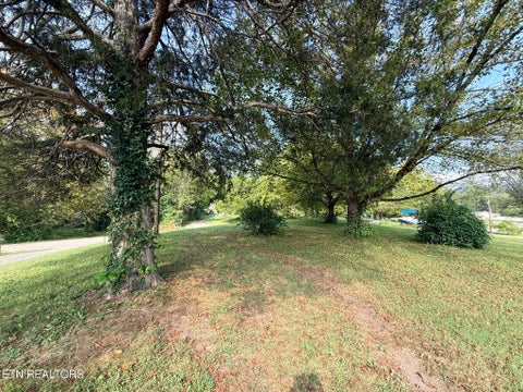 Tiny photo for 569 Carr Wynn Rd, LaFollette, TN 37766 (MLS # 1355837)