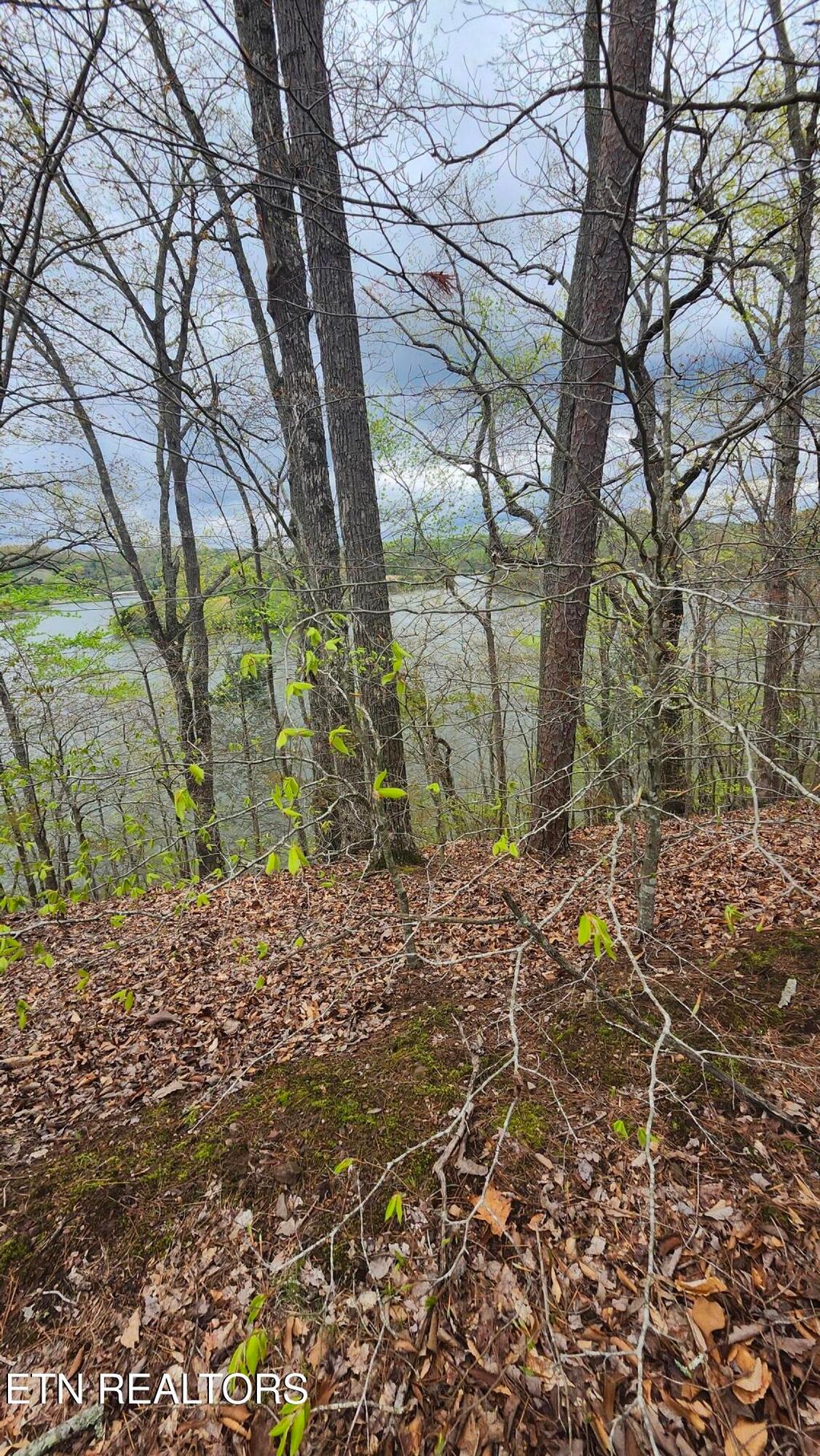 Photo of 20 Sawmill Cove, Rockwood, TN 37854 (MLS # 1303127)