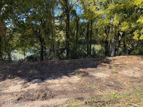 Tiny photo for Winfield Dunn Pkwy, Sevierville, TN 37876 (MLS # 1359572)