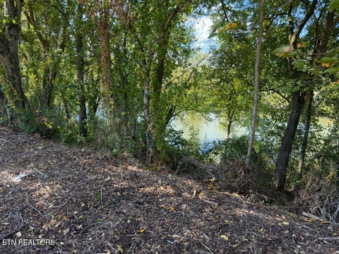 Tiny photo for Winfield Dunn Pkwy, Sevierville, TN 37876 (MLS # 1359572)