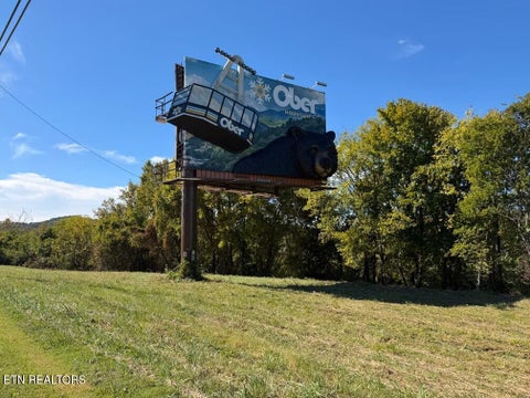 Tiny photo for Winfield Dunn Pkwy, Sevierville, TN 37876 (MLS # 1359572)