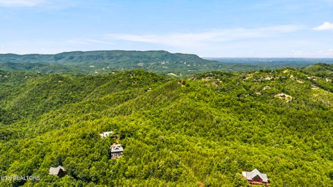 Tiny photo for 2963 Little Cub Way, Sevierville, TN 37862 (MLS # 1344435)