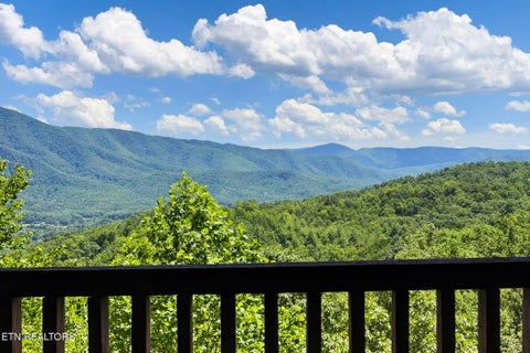 Tiny photo for 2963 Little Cub Way, Sevierville, TN 37862 (MLS # 1344435)
