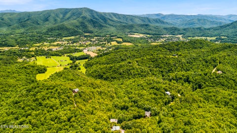 Tiny photo for 2963 Little Cub Way, Sevierville, TN 37862 (MLS # 1344435)