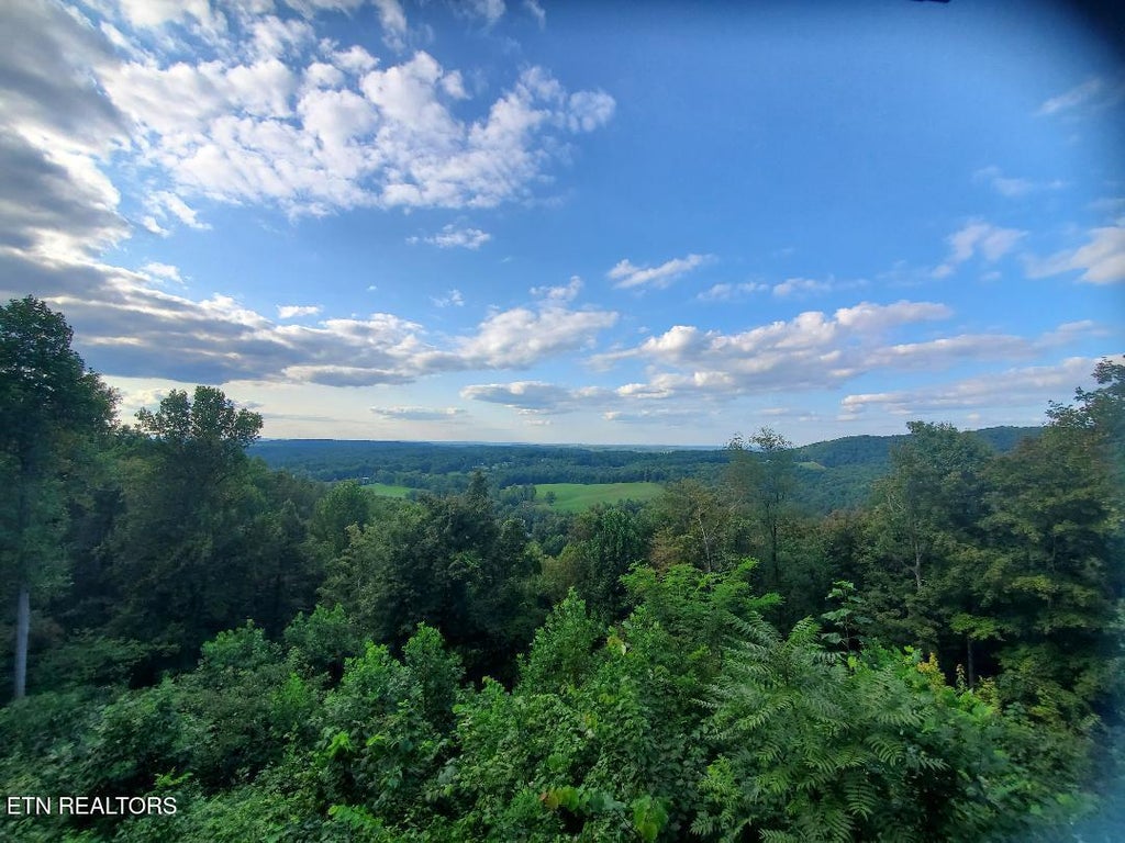 Photo of 636 Shug Mount Rd, Oneida, TN 37841 (MLS # 1315329)