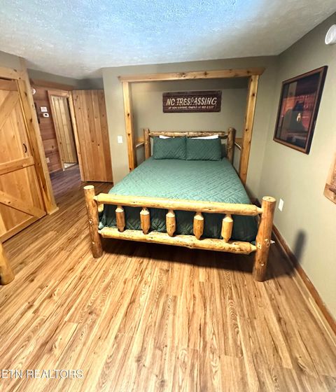 Tiny photo for 210 S Smoky Mountain Way, Sevierville, TN 37876 (MLS # 1334832)