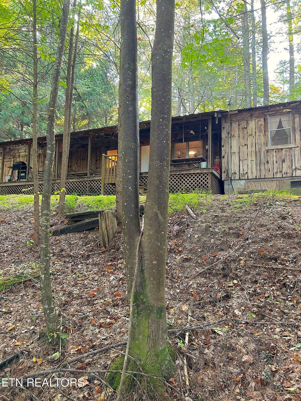 Photo of 1517 Turkey Creek Rd. Rd, Tellico Plains, TN 37385 (MLS # 1242013)