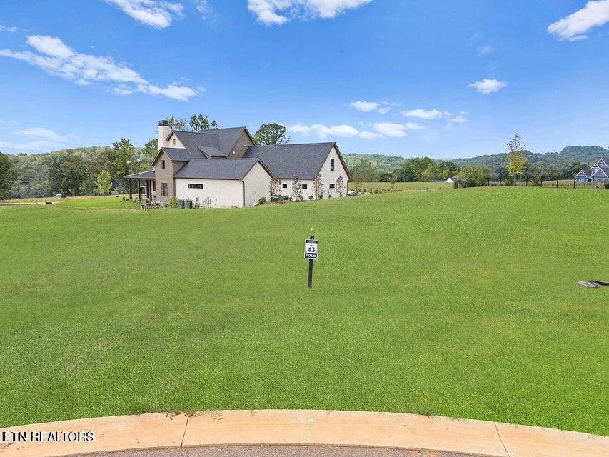 532 Ladybug Lane