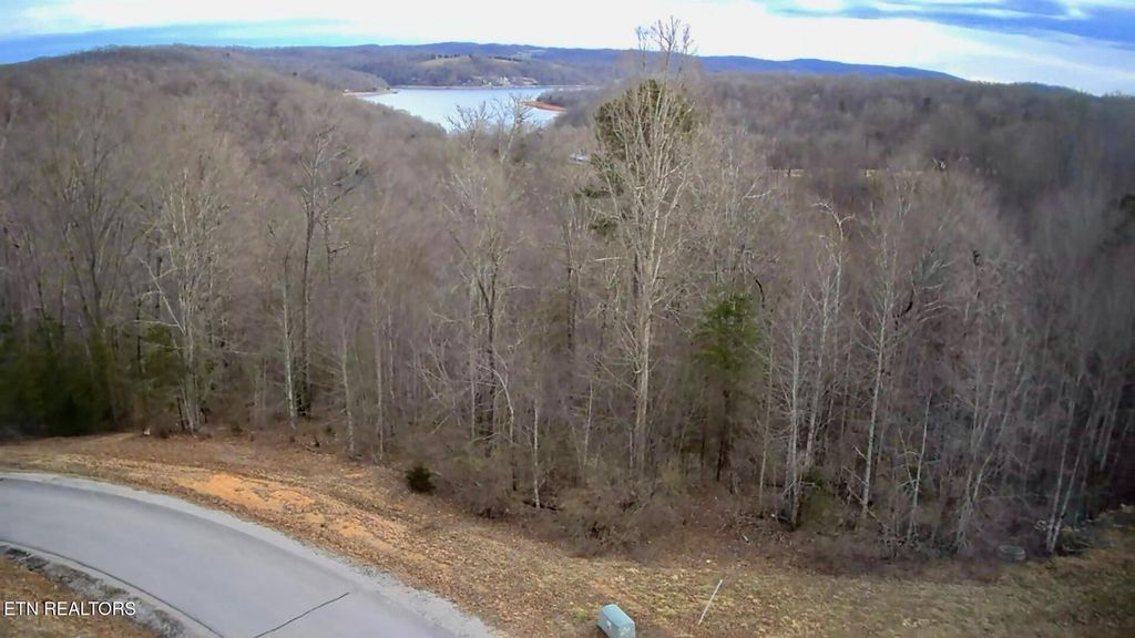 Photo of 540 Hickory Way, LaFollette, TN 37766 (MLS # 1330175)