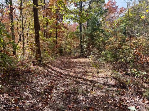Tiny photo for 1206 Bluff Rd, Newport, TN 37821 (MLS # 1319943)