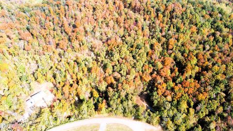 Tiny photo for 1206 Bluff Rd, Newport, TN 37821 (MLS # 1319943)