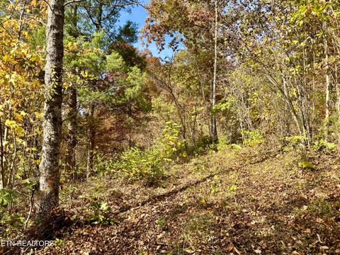 Tiny photo for 1206 Bluff Rd, Newport, TN 37821 (MLS # 1319943)