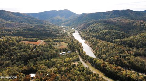 Tiny photo for 1206 Bluff Rd, Newport, TN 37821 (MLS # 1319943)