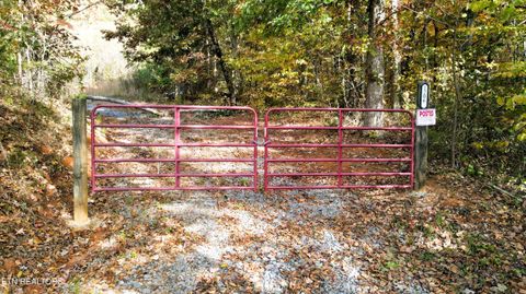 Photo of 1206 Bluff Rd, Newport, TN 37821 (MLS # 1319943)