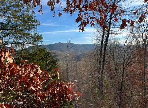 Tiny photo for 1206 Bluff Rd, Newport, TN 37821 (MLS # 1319943)