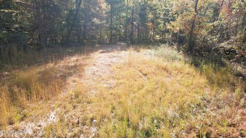 Tiny photo for 1206 Bluff Rd, Newport, TN 37821 (MLS # 1319943)