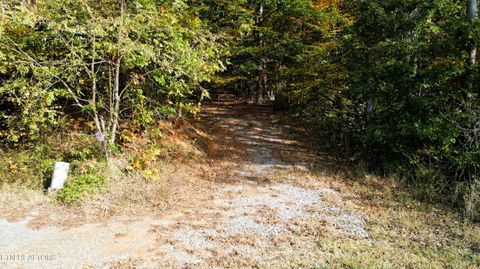 Tiny photo for 1206 Bluff Rd, Newport, TN 37821 (MLS # 1319943)