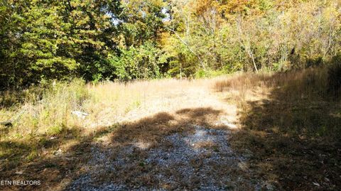 Tiny photo for 1206 Bluff Rd, Newport, TN 37821 (MLS # 1319943)