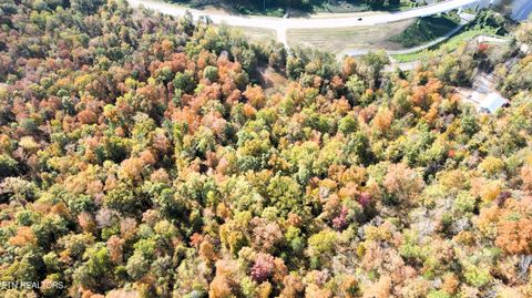 Tiny photo for 1206 Bluff Rd, Newport, TN 37821 (MLS # 1319943)