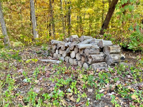 Tiny photo for 1206 Bluff Rd, Newport, TN 37821 (MLS # 1319943)