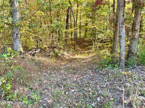 Tiny photo for 1206 Bluff Rd, Newport, TN 37821 (MLS # 1319943)